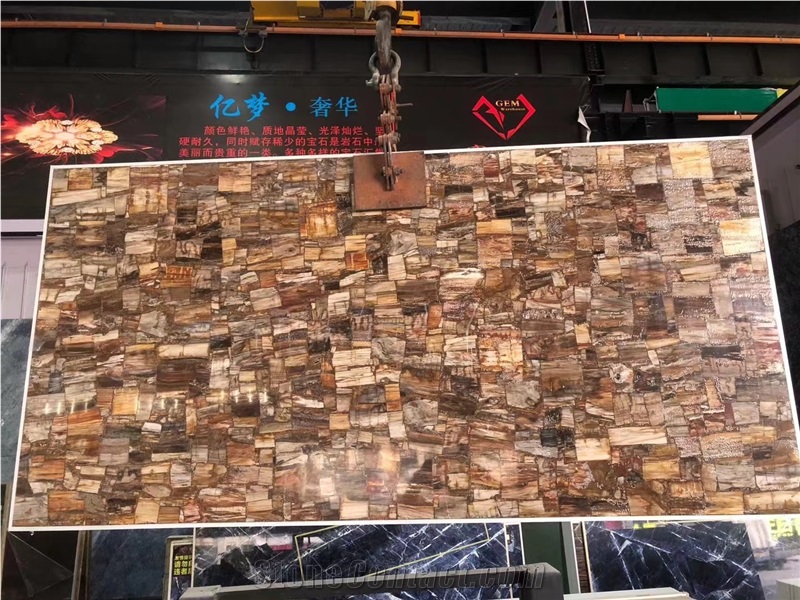 Petrified Wood Semiprecious Stone Slabs