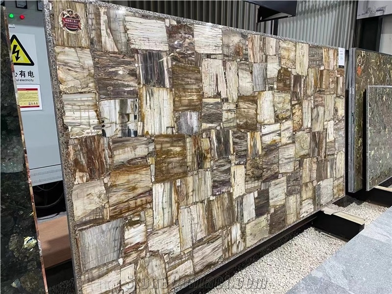 Petrified Wood Semiprecious Stone Slabs