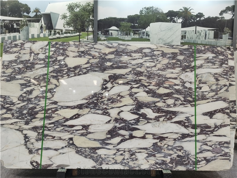 Calacatta Viola Extra Marble Slabs