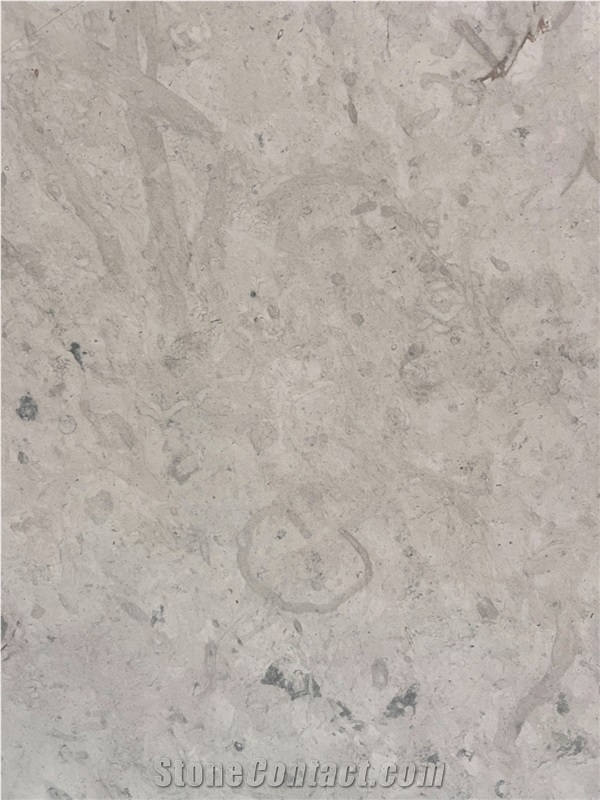 Honed Thala Grey Gris Thala Limestone Slabs