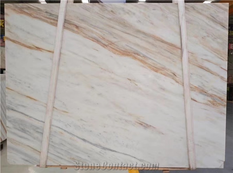 Yinxun Tree  Root Palissandro Marble Flooring Tiles