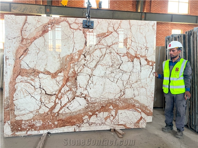 Iran Beige Marble Slabs - Camellia