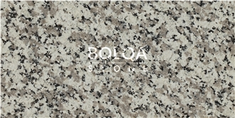 Iran Coral Grey Granite Tiles - AST