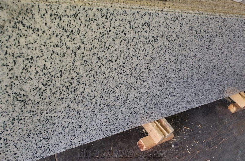 Bianco Halayeb Granite Slabs