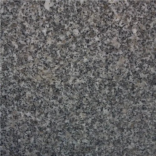 Gray El Sherka Granite Slabs
