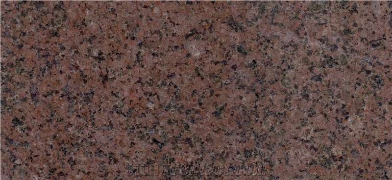 Red Nefertiti Granite Slabs