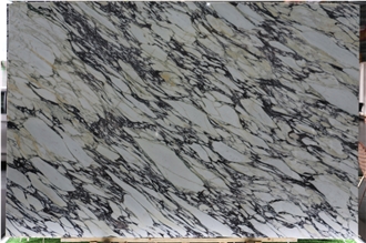 Calacatta Viola Marble Slabs