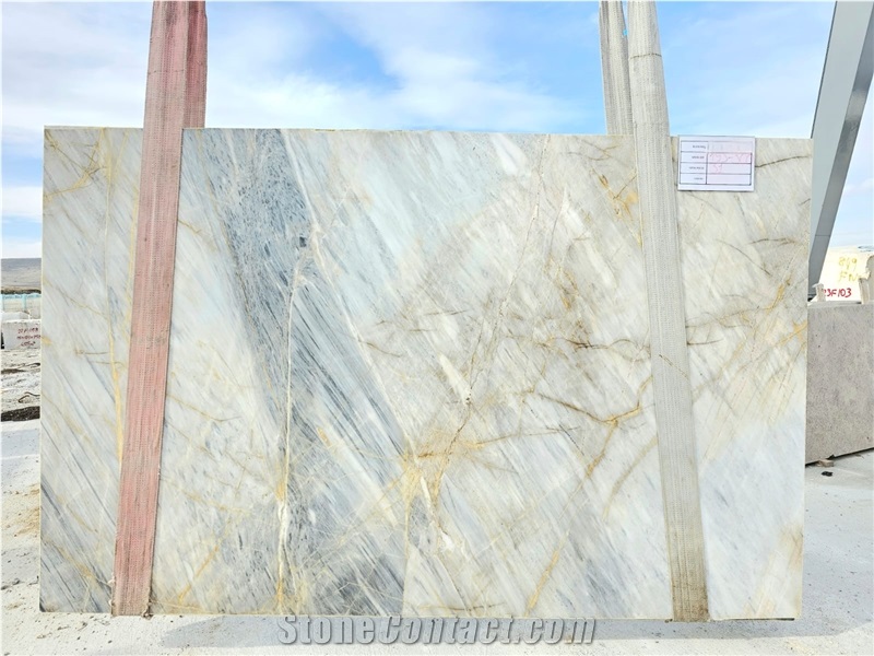 Rapsody Grey Marble Slabs - 22F065