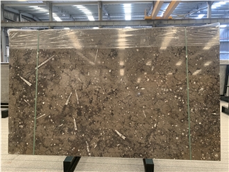 Brown Fossil Marble Stone Slabs