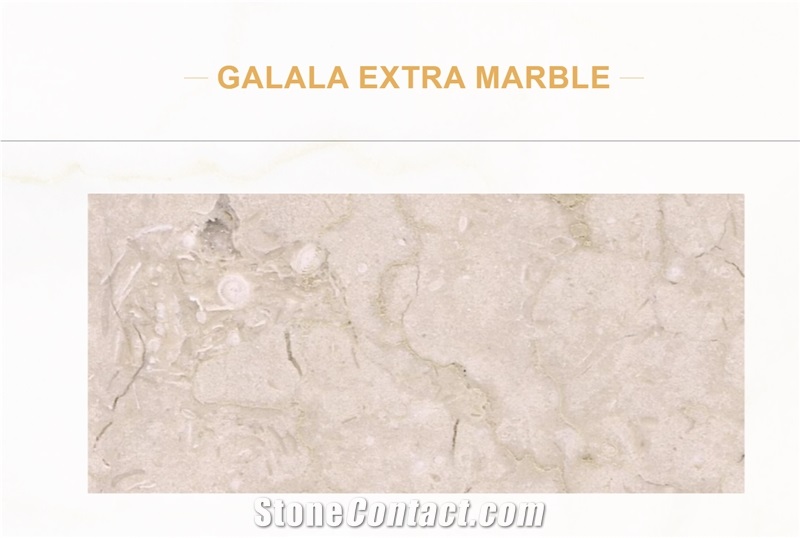 Galala Extra Marble Slabs from Egypt - StoneContact.com