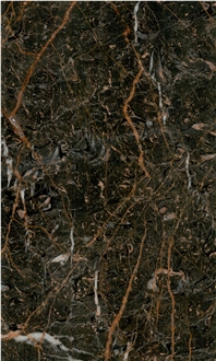 Golden Black Marble Slabs And Tiles