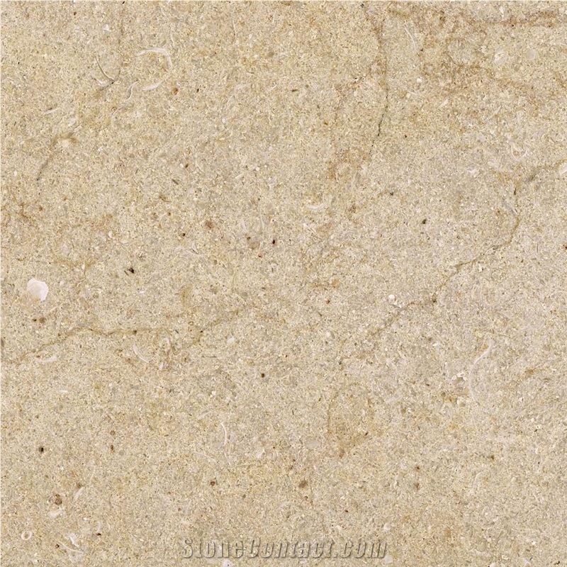 Crema Perla Limestone