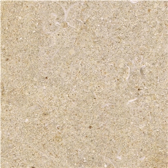Crema Perla Limestone