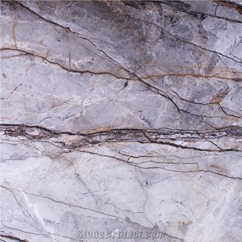 Silver Roots Marble