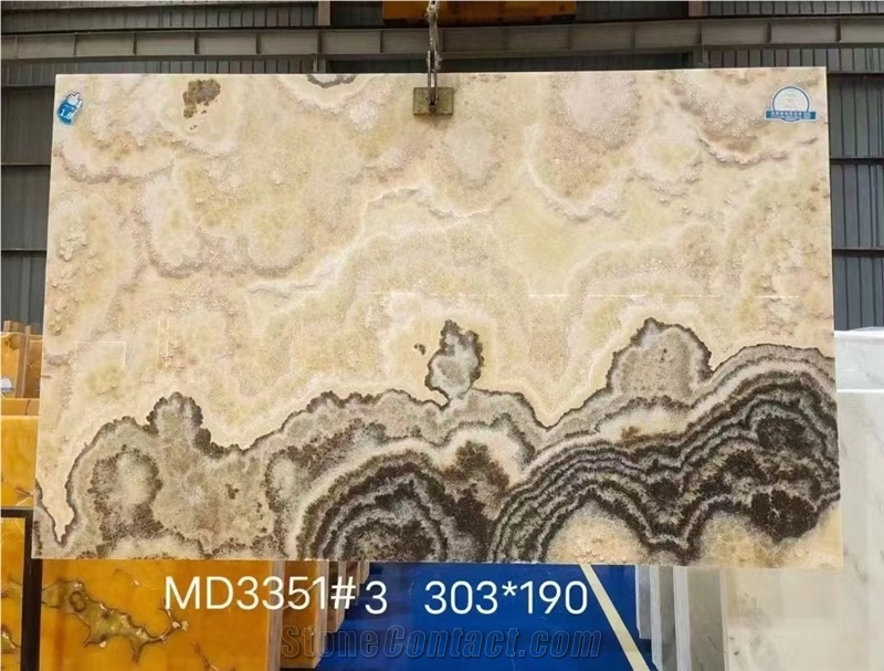 Jalisco Black Onyx Slabs Home Wall Decoration