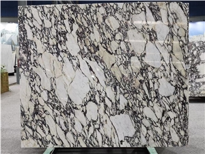 Calacatta Viola Marble Breccia Capraia Marble Tile And Slabs