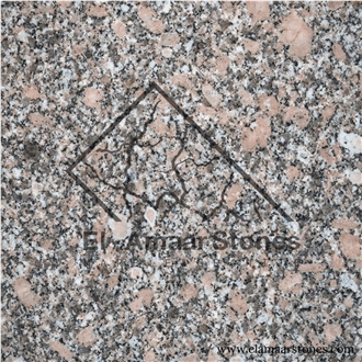 Gandola Granite Slab And Tiles