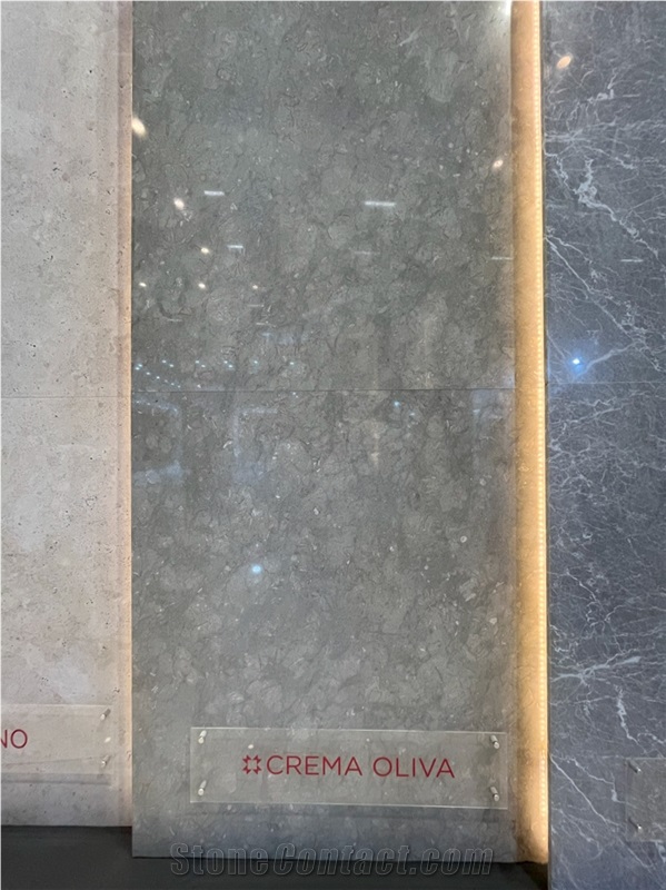 Crema Oliva Marble Slabs