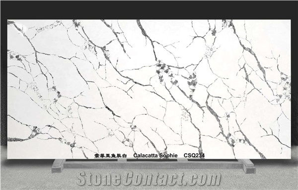 ASCY  Quartz Slabs