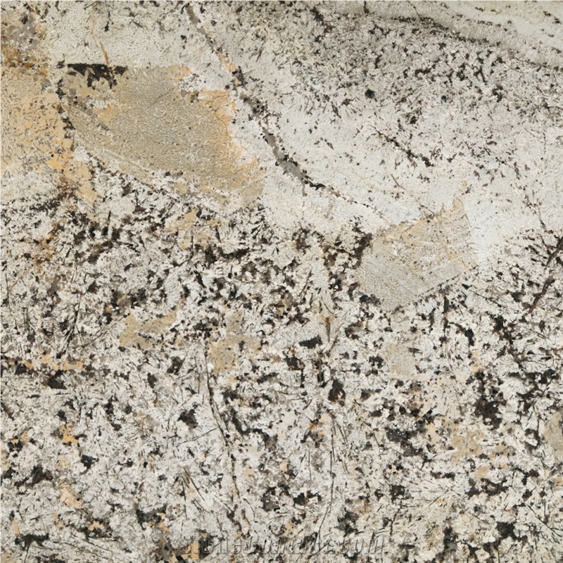 Absolute Cream Granite importance=