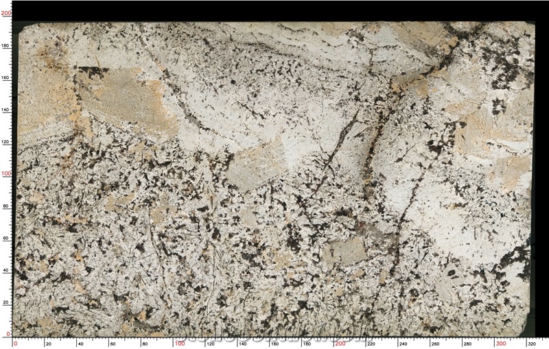 Absolute Cream Granite Slab
