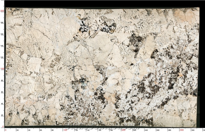 Absolute Cream Granite Slab