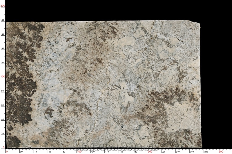 Delicatus Cream Granite Slab