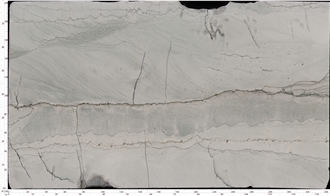Infinity White Quartzite