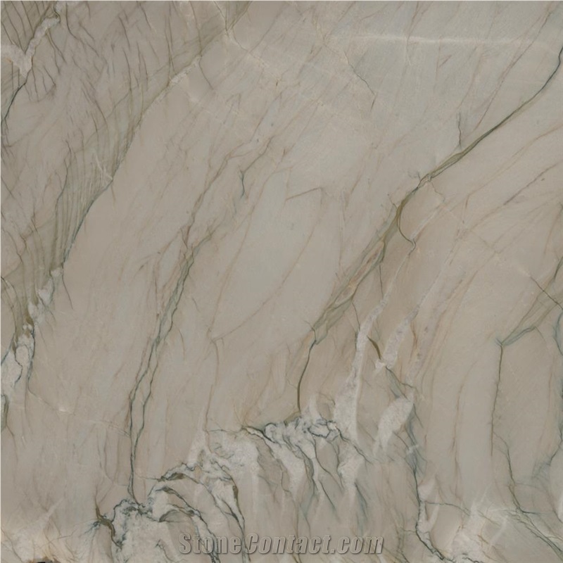 Picasso Silver Quartzite