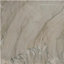 Picasso Silver Quartzite