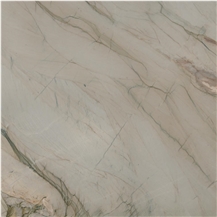 Picasso Silver Quartzite