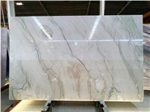 Picasso Silver Quartzite