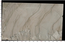 Picasso Silver Quartzite