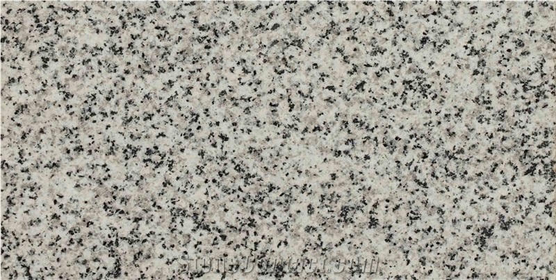 Iran Grey Granite Tiles - NTZ