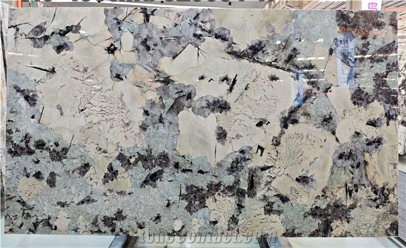 Polished Tourmaline Granite Slabs, Wall Panels