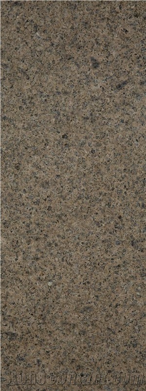 Granite Wall Tiles