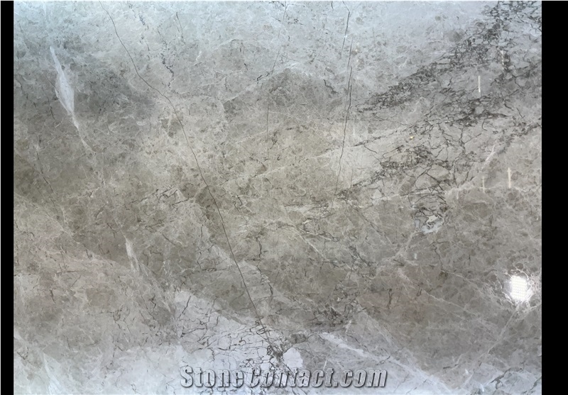 Versace Grey Marble Quarry