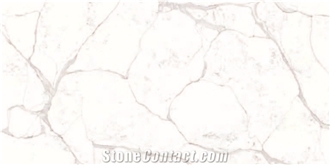 CALACATTA GANDRIA Quartz Slabs