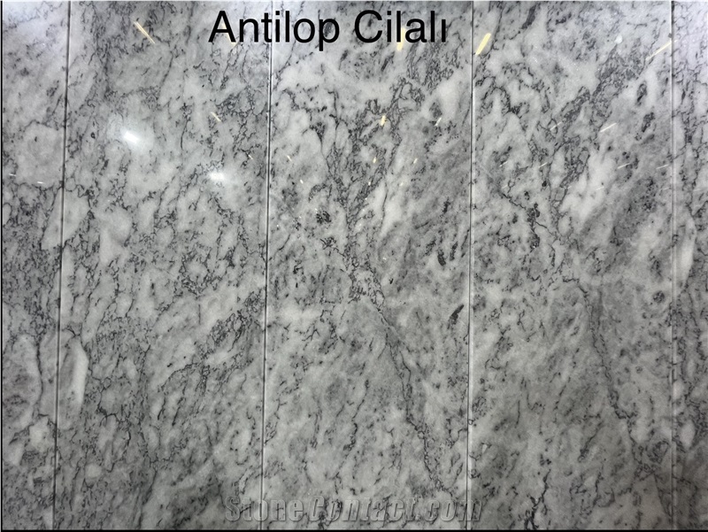 Antilop Marble Turkey Marble Slabs