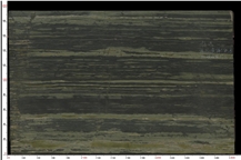 Verde Bamboo Quartzite
