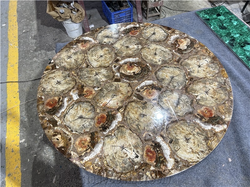 Round Petrified Wood Fossil Gem Stone Solid Surface Table Tops