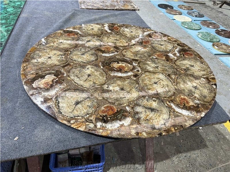 Round Petrified Wood Fossil Gem Stone Solid Surface Table Tops