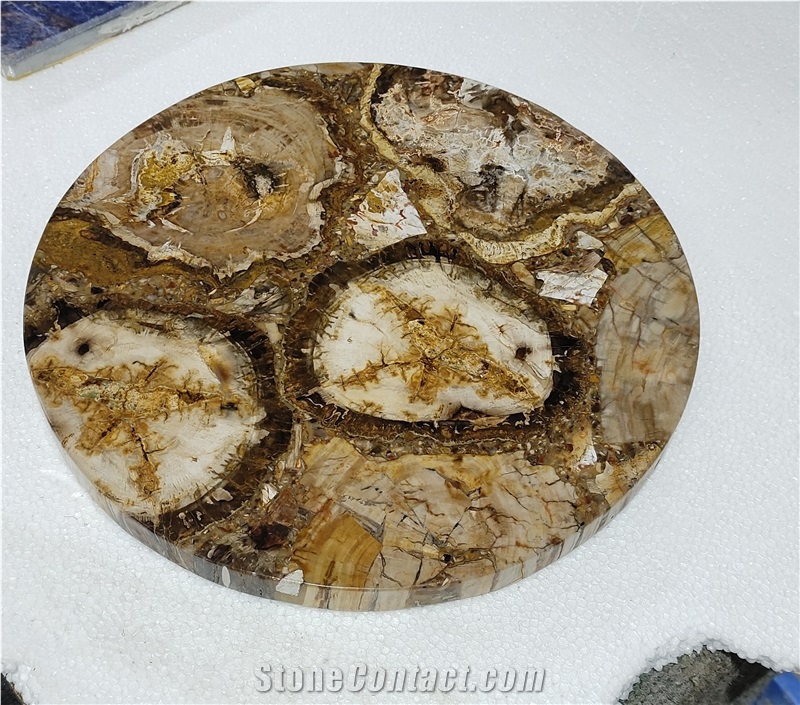 Round Petrified Wood Fossil Gem Stone Solid Surface Table Tops