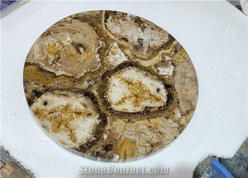 Round Petrified Wood Fossil Gem Stone Solid Surface Table Tops