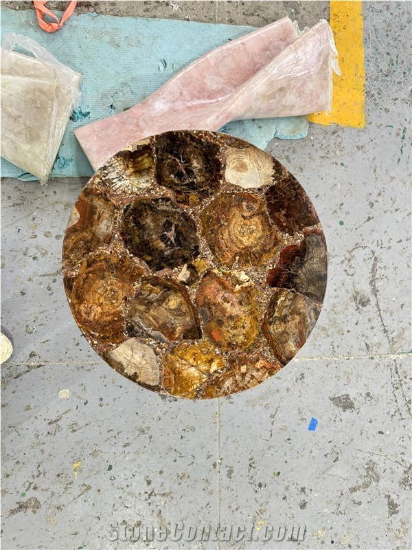 Round Petrified Wood Fossil Gem Stone Solid Surface Table Tops