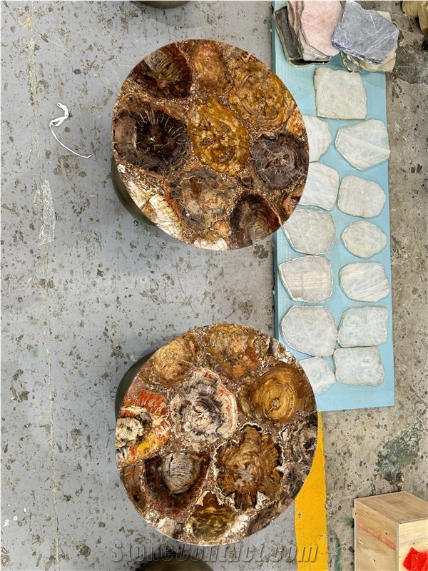Round Petrified Wood Fossil Gem Stone Solid Surface Table Tops