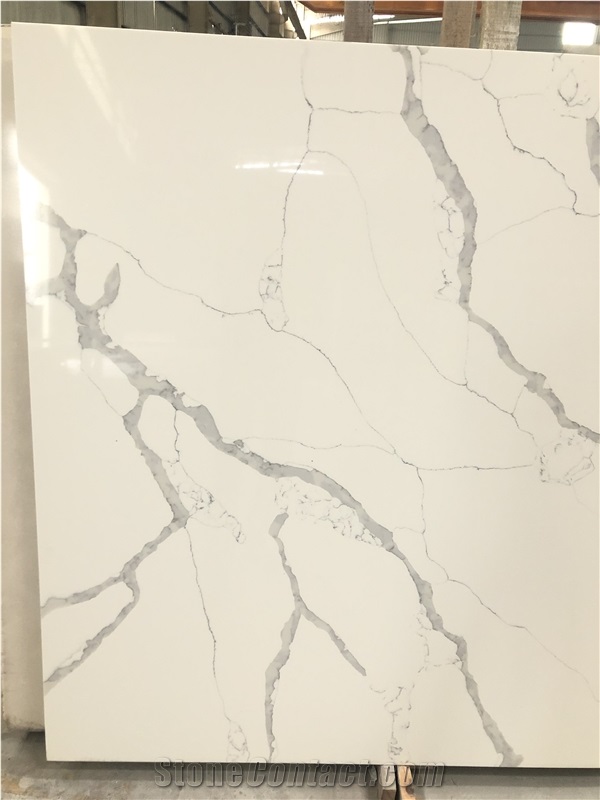 Calacatta NS9040 Quartz Slabs