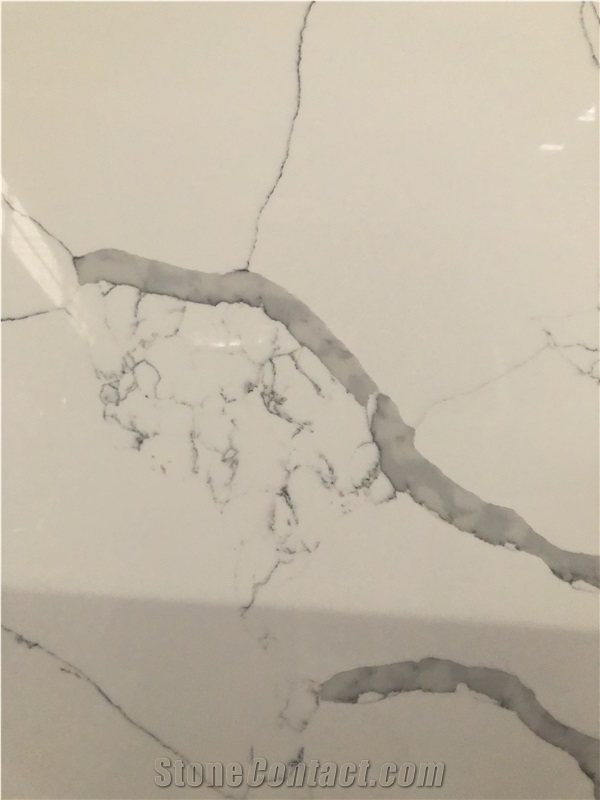 Calacatta NS9040 Quartz Slabs
