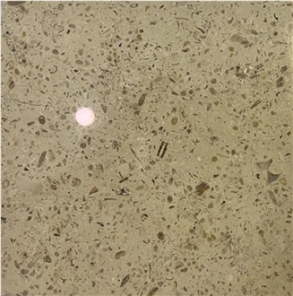 Filstone Beije ML Limestone Slabs