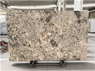 Mocha Breccia Marble Slabs (22681)